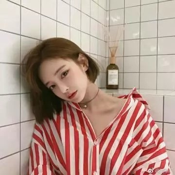 一条安达鲁狗